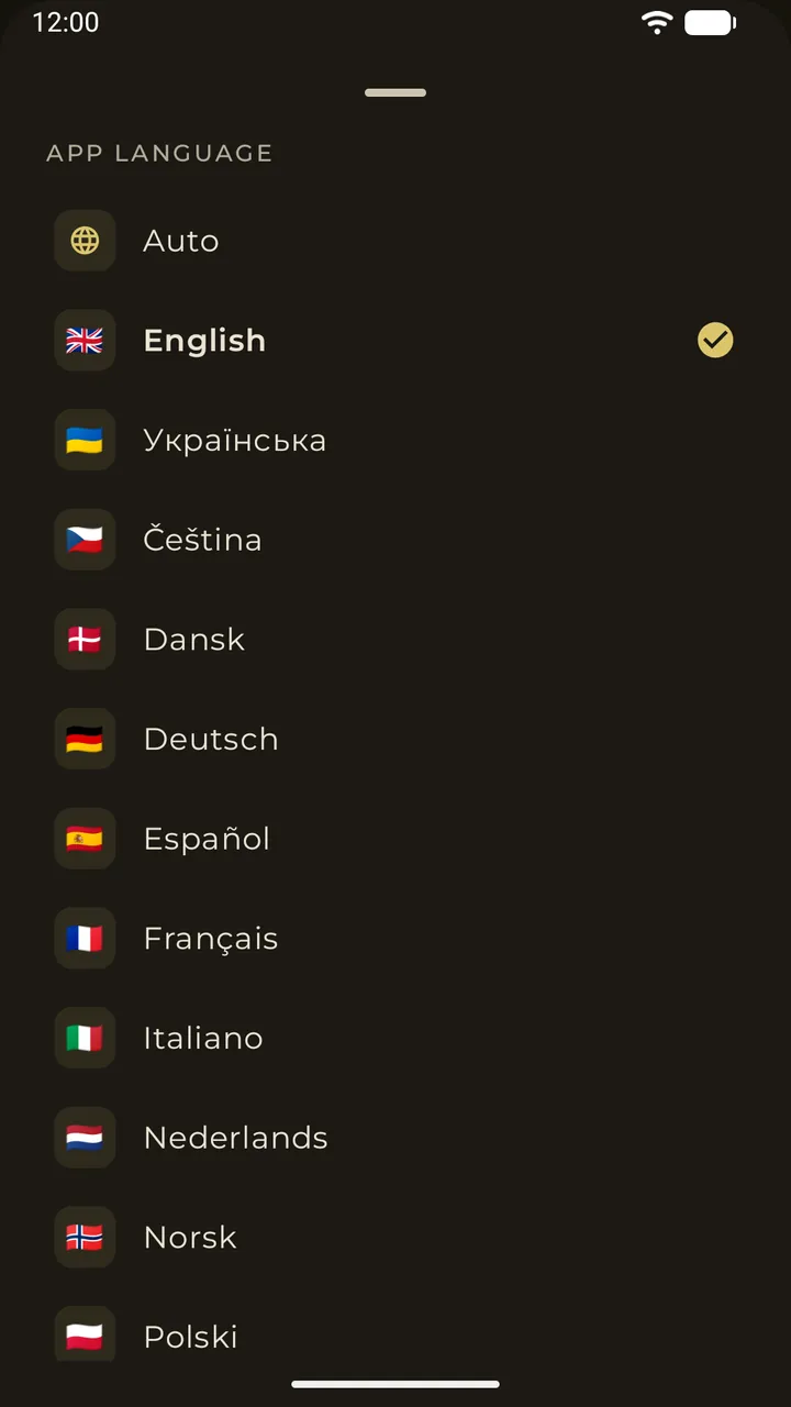 The app language picker with sixteen interface languages